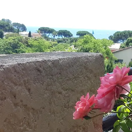 Le Gecko Sea View סן-מקסים