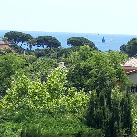 Apartment Le Gecko Sea View